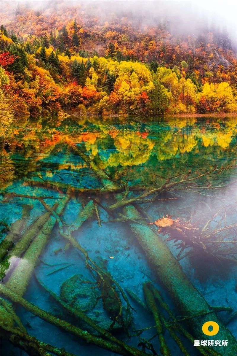 中国南方喀斯特的组成,中国南方喀斯特地貌原因