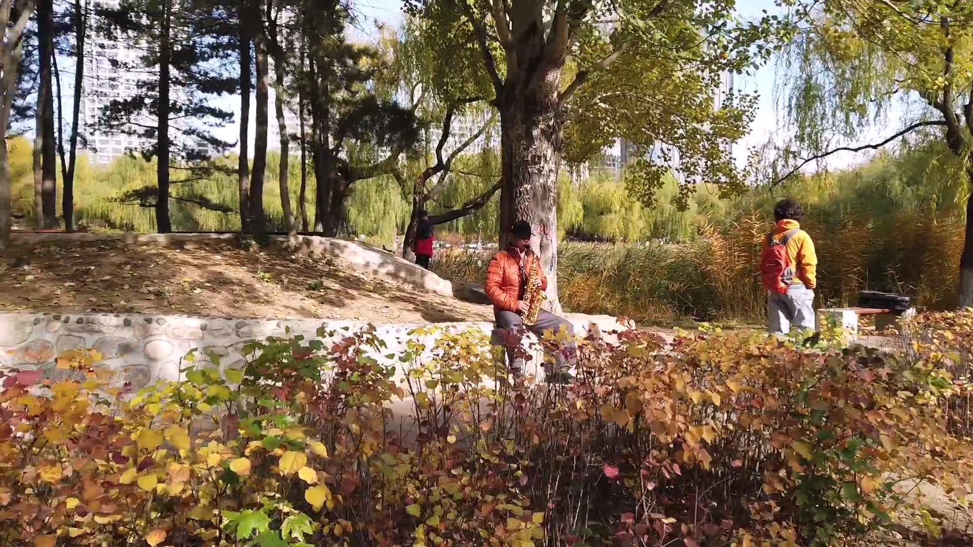 呼和浩特满都海公园晚上,呼和浩特市满都海公园有什么特点