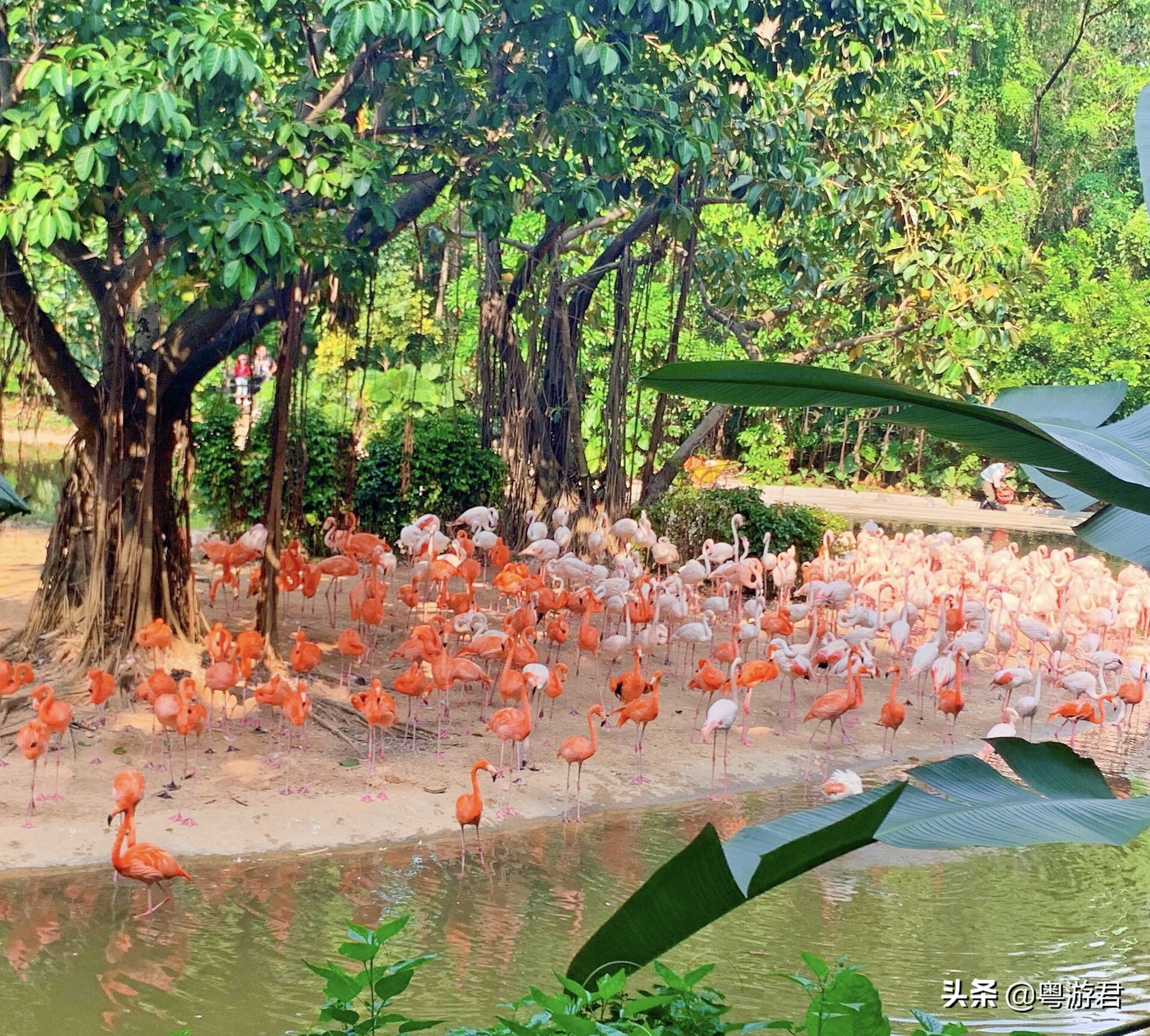 广州越秀公园深藏古代文物,广州动物园发现文物古迹