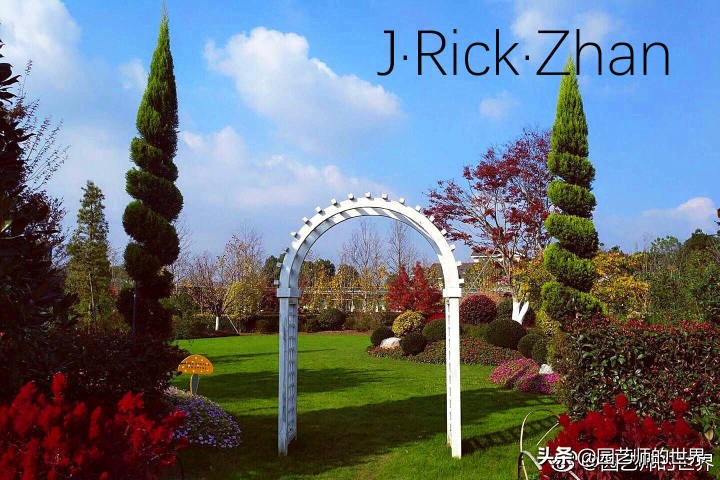 高尔夫果岭草坪家庭院子种植,麦冬草坪种植方法和关注事项