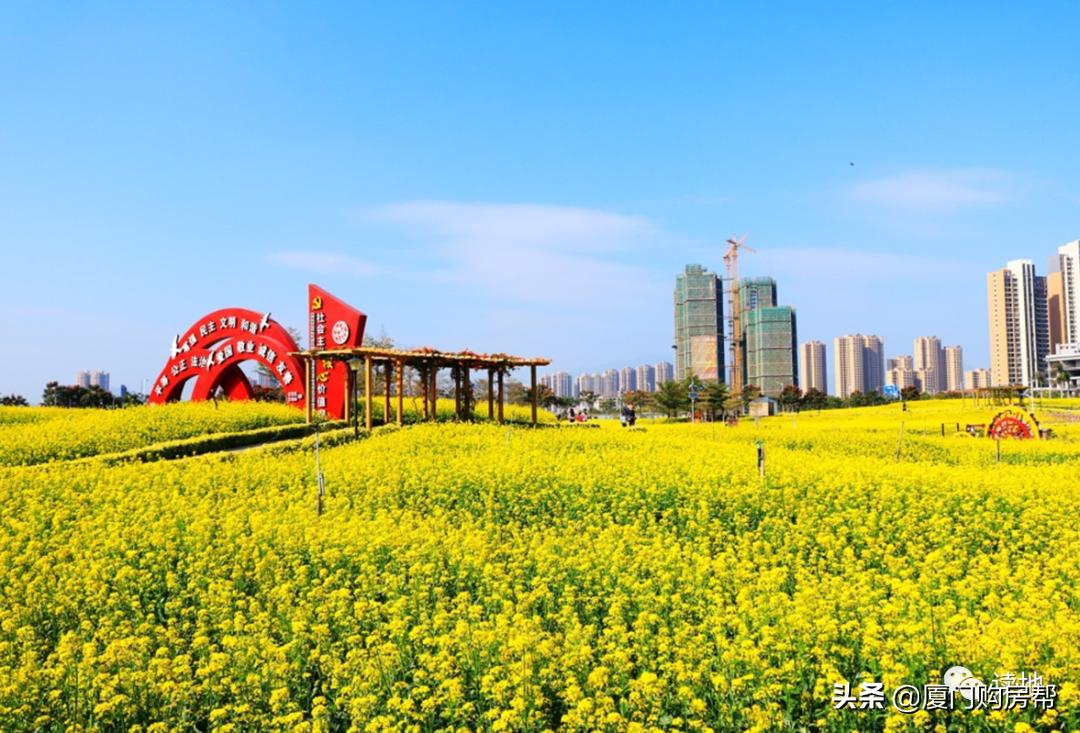 角美和厦门哪个更值得买,厦门角美二手房房价