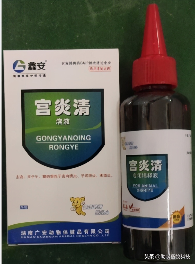 母猪三联症最新治疗方法,母猪三联症是什么意思