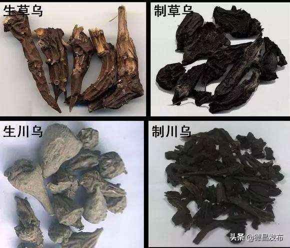 德昌一大爷喝药酒治病，险些丧命！