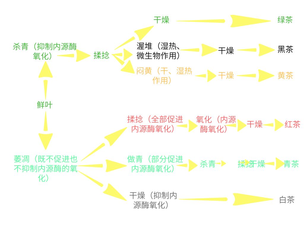 怎么区分青茶黄茶,茶分类黑白绿红