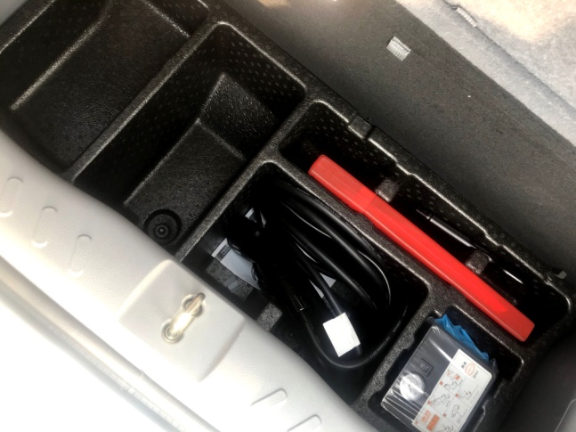 薛定谔的猫实测,欧拉白猫小野猫试驾