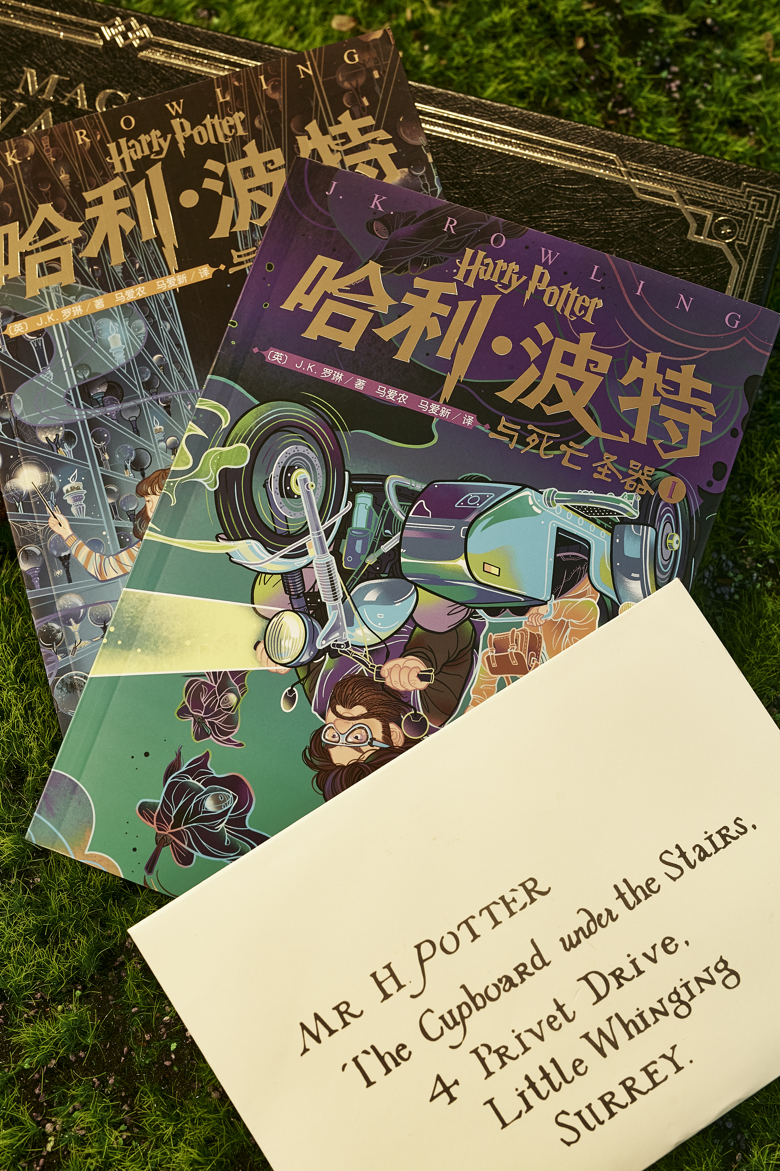 哈利波特20周年完整版免费观看,哈利波特20周年纪念版适合多大读