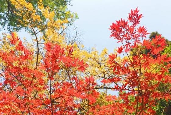南京七朝胜迹,南京七朝古都是哪七朝