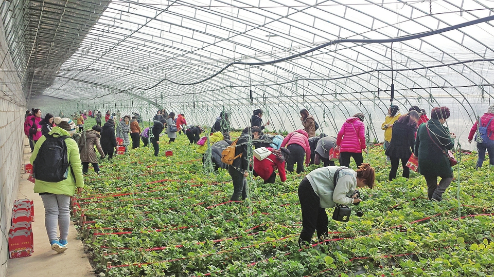 济南十大农业特色产业,济南打造5个乡村旅游示范村