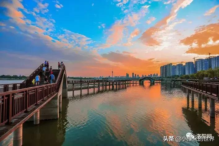 向洛阳人发出邀请国潮盛宴来袭,洛阳发布通知