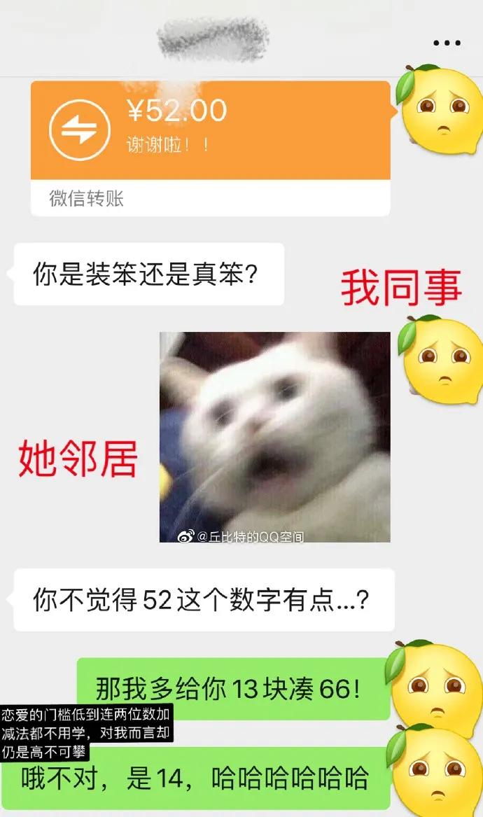 给我家猫新交了一个嘚瑟的朋友,我家猫送亲戚了准备再养一只猫