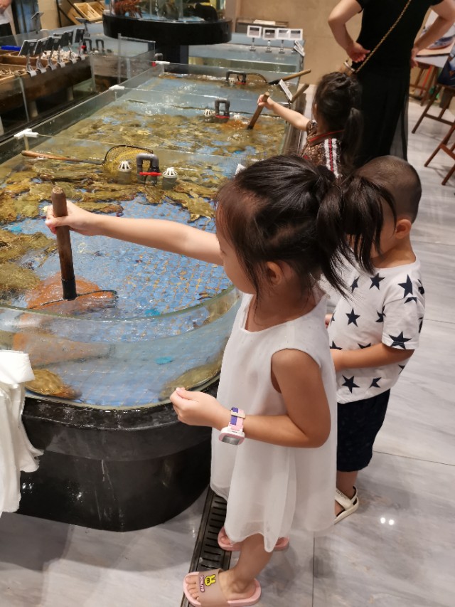 舟山朱家尖三日自驾,舟山朱家尖三日游最佳攻略