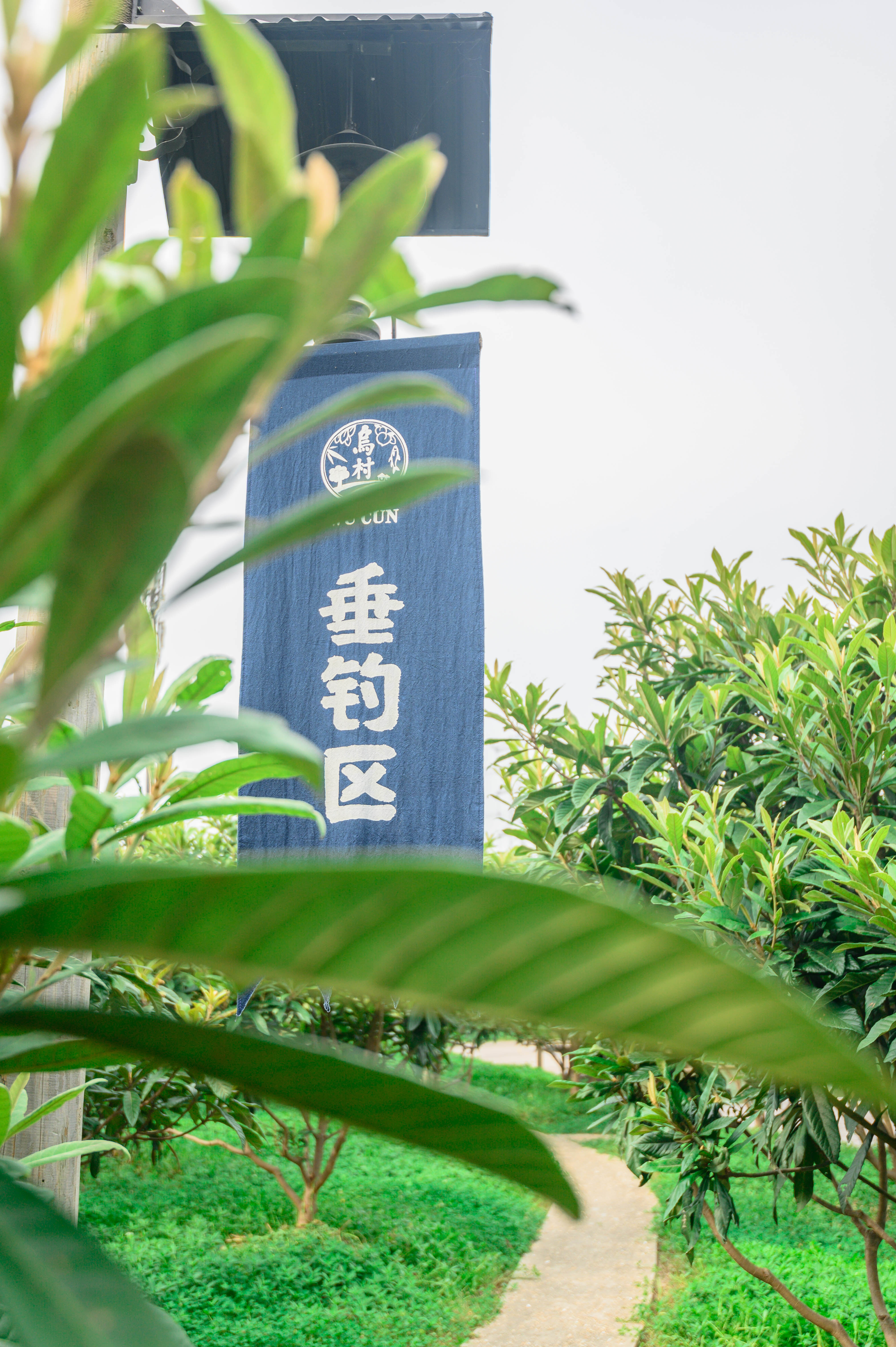 知道乌村吗，孩子来了就不愿离开，住乌村去西栅可以省150元