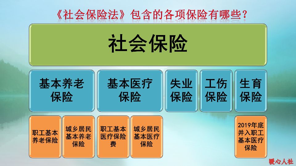 在单位缴纳的社保，辞职改为自己交之后，要关注这四点不同