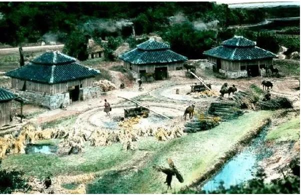 明明内陆可以买到马，为何朱元璋偏偏要跑到台湾买马？