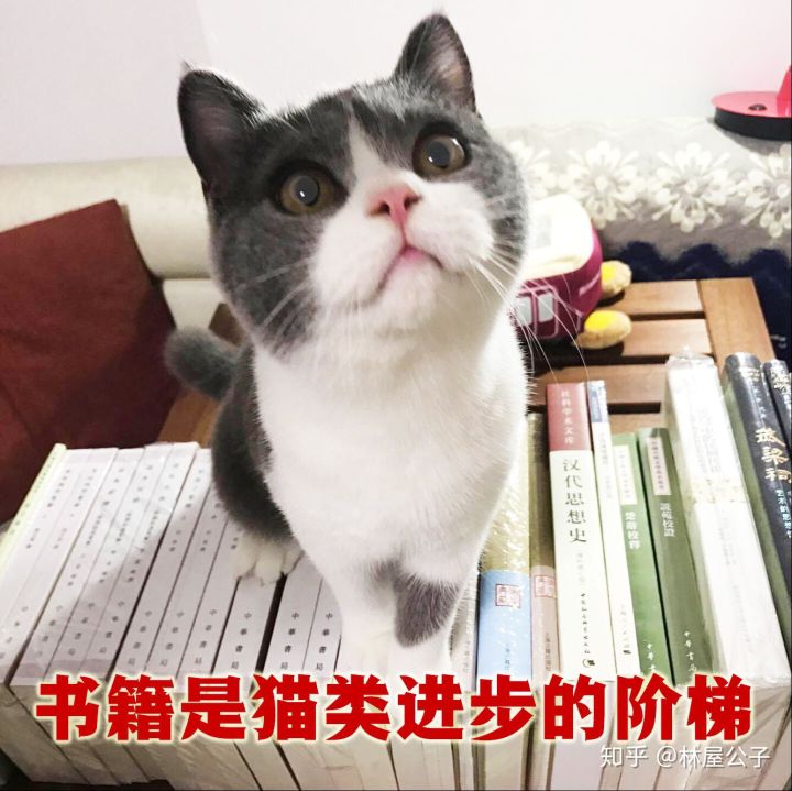 如何选择古籍善本,应如何选择一本经典书