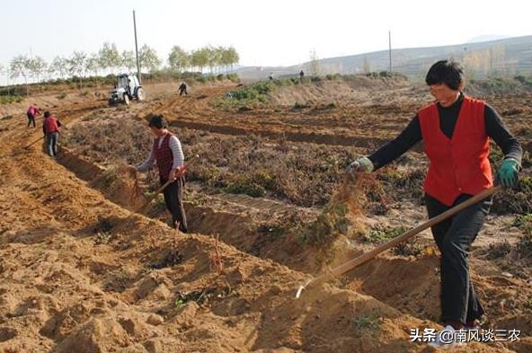 农村小本创业致富项目,农村创业投资小利润高