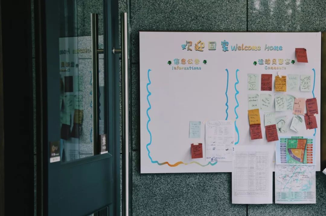 在江夏，我遇见了青松