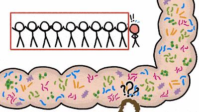 养好肠道只需一招,如何让肠道处于酸性态势