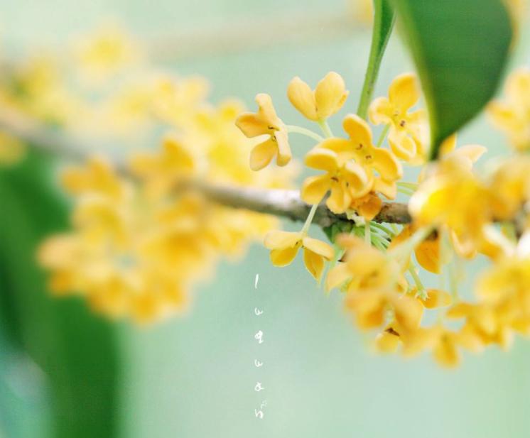 诗词朗诵春天来了,诗歌朗诵春天来了的视频