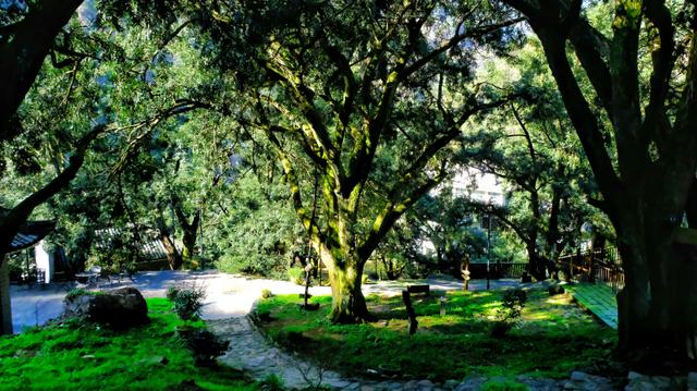 小城市也有好风光诸暨,诸暨在绍兴是一个怎么样的存在