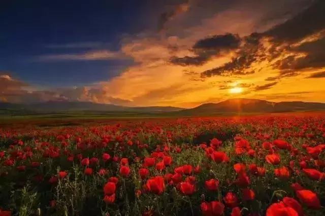 涨姿势怎么解释,涨姿势为什么叫涨知识