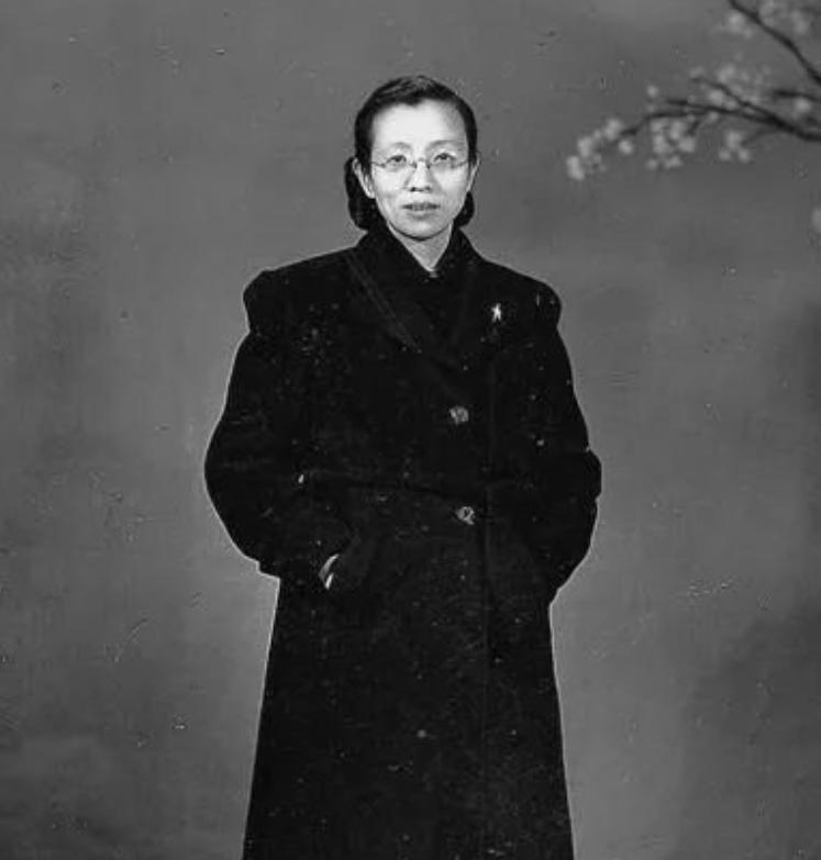 陈修良回忆地下党战斗岁月,陈修良南京解放全集播放