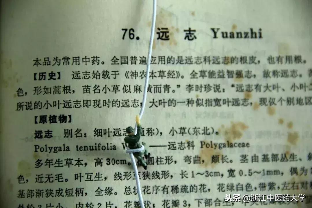 用镜头诉说中医药之美