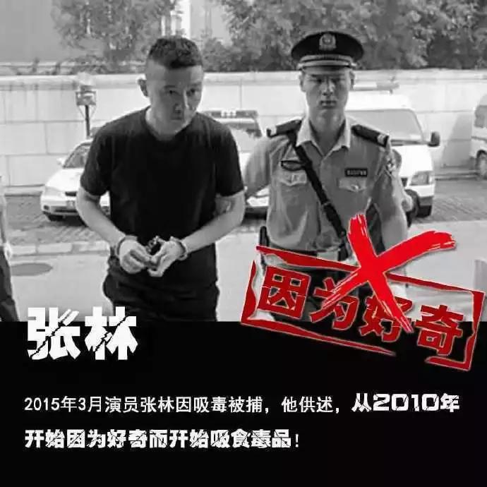 如果陈羽凡没有吸毒羽泉会有多火,陈羽凡吸毒事件后现状