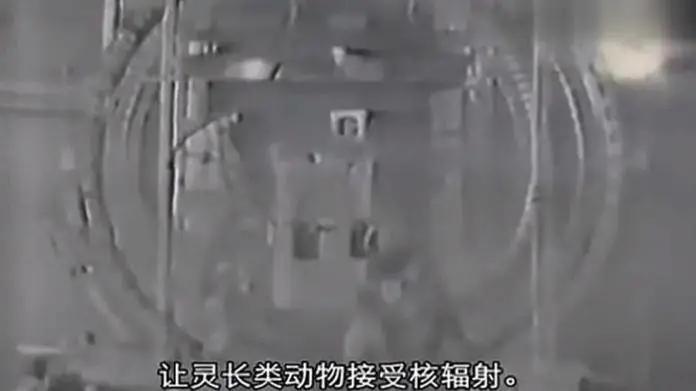 总统喊你来看片，这波硬核安利我吃了