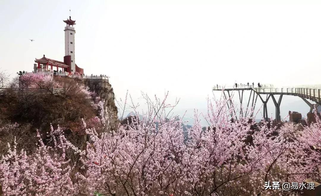 狼牙山花海最佳观赏时间,狼牙山花海风景区