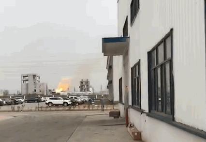 响水之殇：物伤其类，秋鸣也悲！