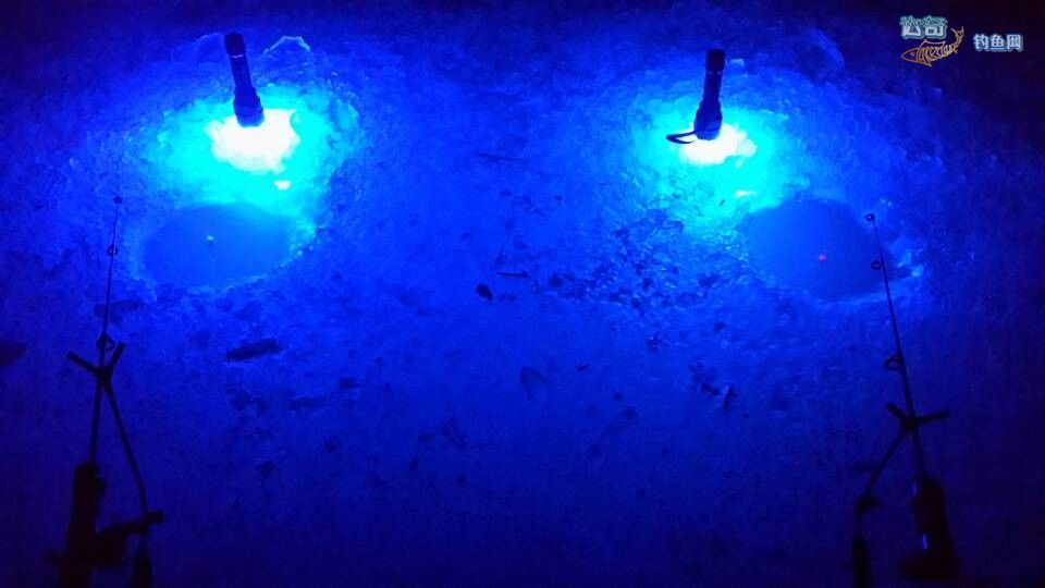 冰钓线组的正确方法图,冰钓如何施钓和必备的装备