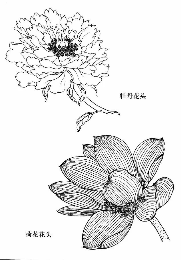 手绘画素材书,100张手绘素材图片