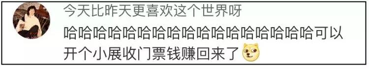 双11购物狂冠军视频,双11购物荒冠军排名