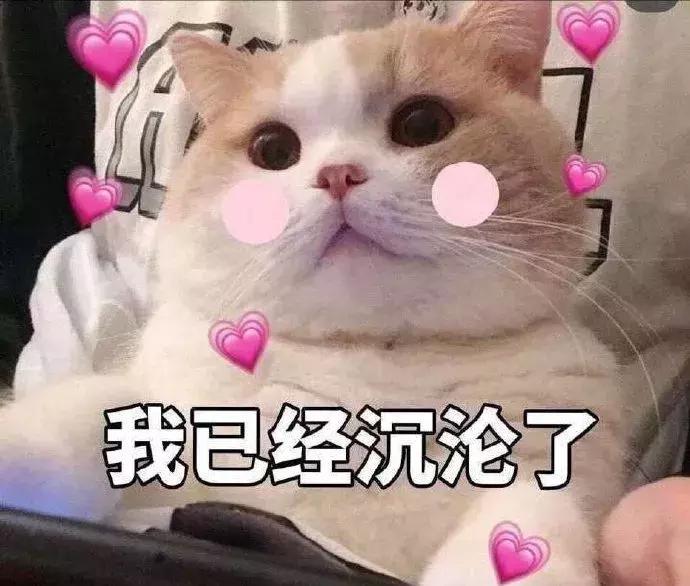 zara系列产品线,zara和hm主打女装