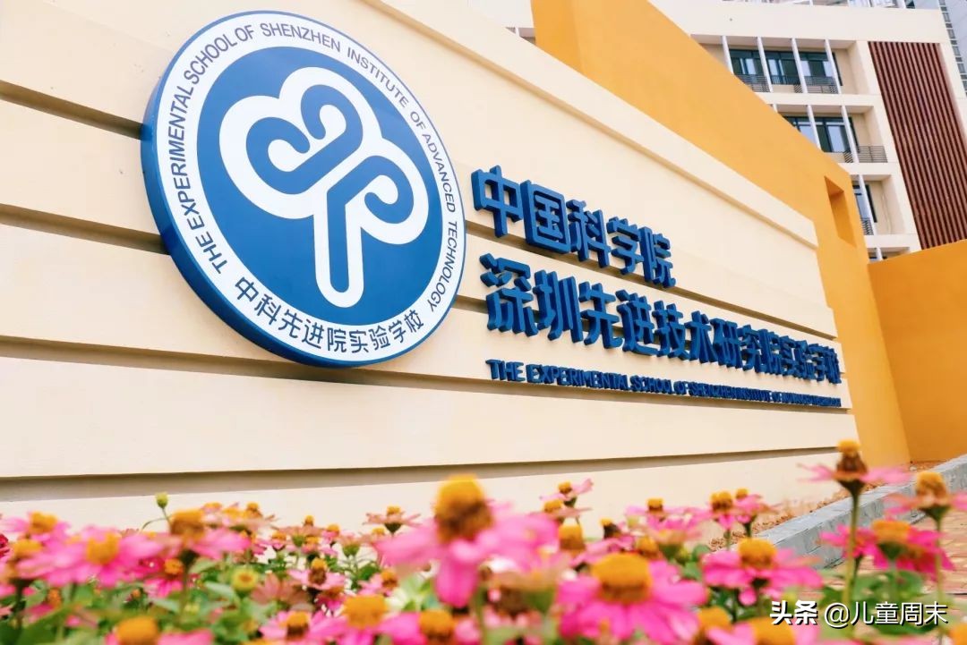 北师大附中深圳南山分校,深圳北大附中学校排名