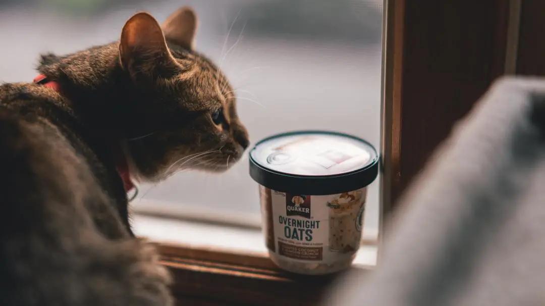 胃膈肌痉挛用什么办法能止住打嗝,膈肌痉挛一直打嗝立即见效的方法