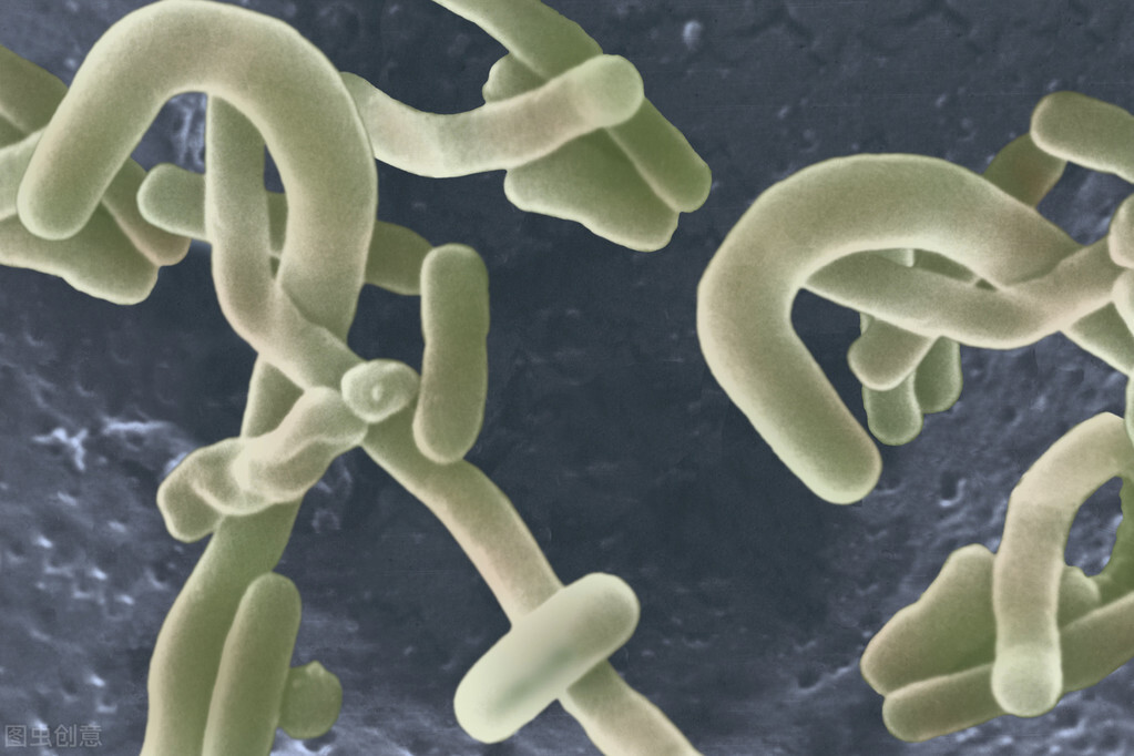 太干净，反而提高患生殖系统癌症风险，医生提醒：这一行为不可取