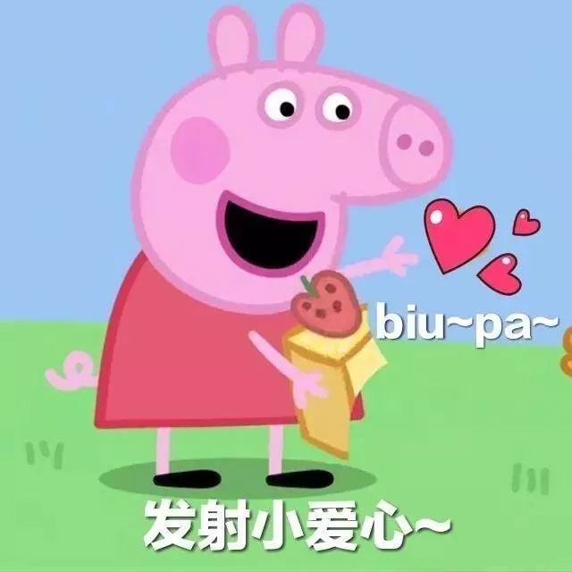 种草夏日必备自用好物分享,日本种草好物推荐