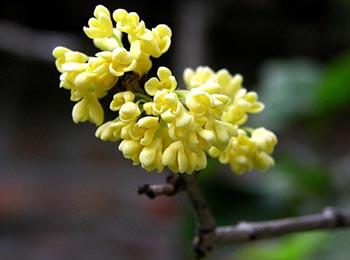 千古奇文4000字竟无重复,千古绝文450篇