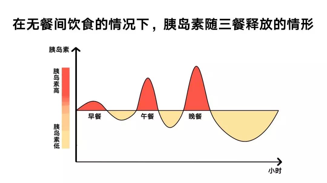 16-8小时轻断食关注事项,16小时轻断食正确的方法