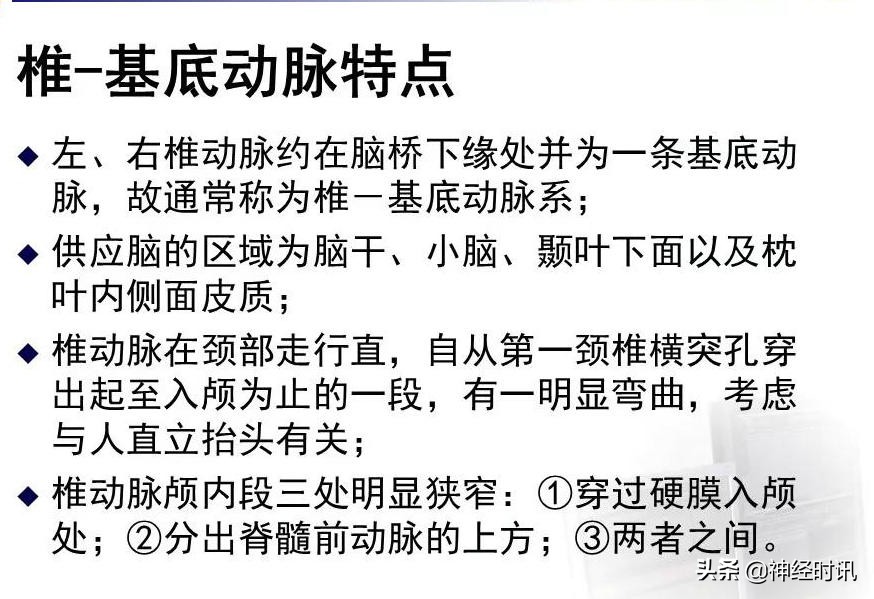 脑动脉解剖学讲解,基底节区脑血管解剖