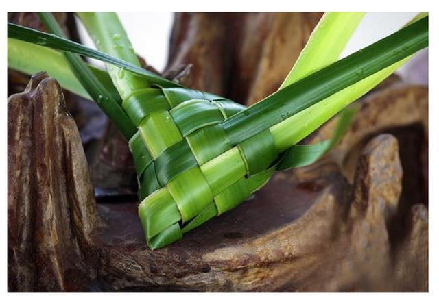 科普端午节和吃粽子的由来,端午粽百科