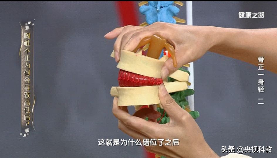 背包肩带反了怎么办,背包肩带老是松怎么办