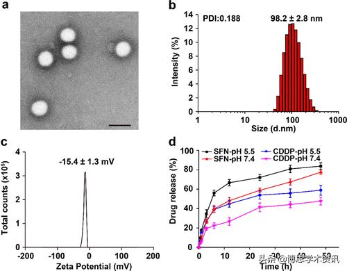 国家纳米中心ACSNano：耗竭谷胱甘肽以恢复顺铂化学敏感性