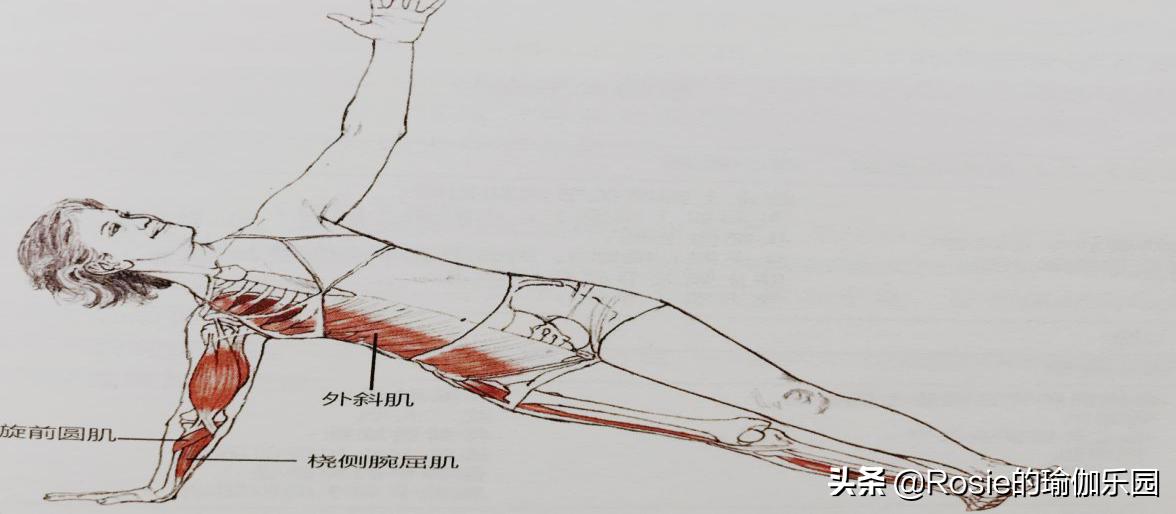产后平躺腰疼是怎么回事,产后腰痛膝盖痛怎么锻炼