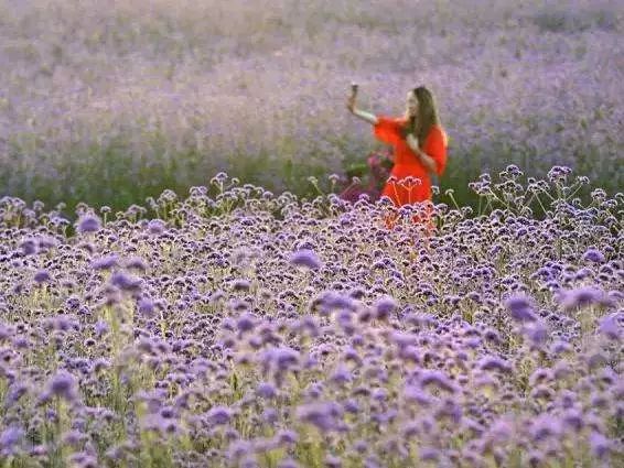 一泡而红！四川这座小城已火向全球，今天万人齐聚！