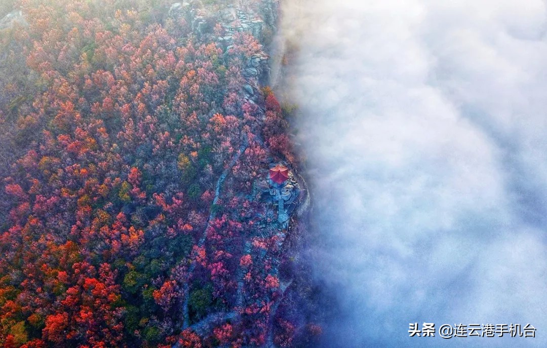 连云港赏秋最佳地点,连云港附近秋天值得去看的地方