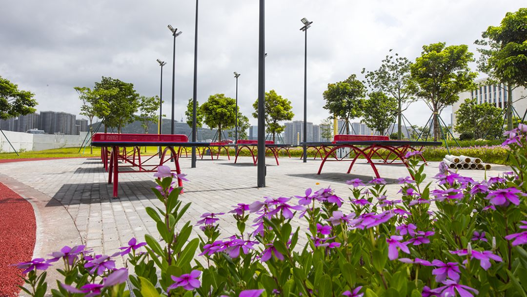 珠海新公园海滨公园,全市首个珠海这个新公园惊艳亮相