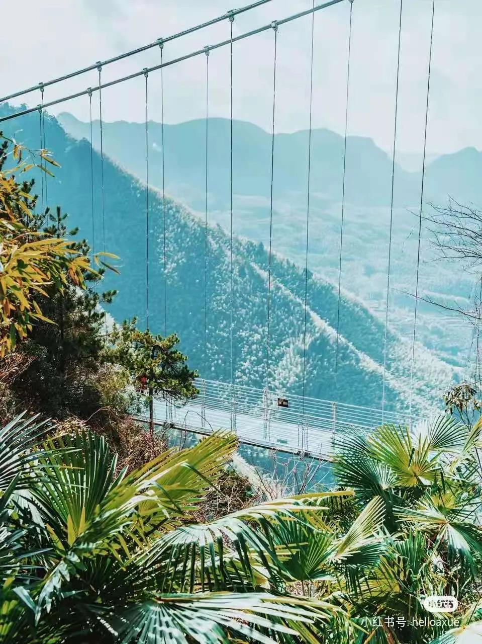 有着双重人生的小城青田，你对它的实力一无所知